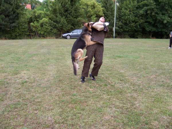 C Dasty Griff halten.jpg